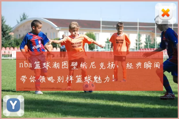 nba篮球潮图壁纸尼克杨，经典瞬间带你领略别样篮球魅力！