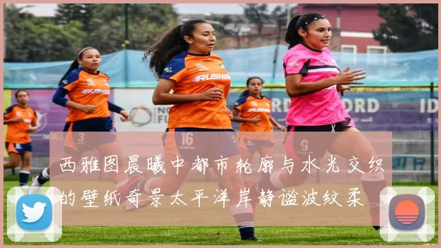 西雅图晨曦中都市轮廓与水光交织的壁纸奇景太平洋岸静谧波纹柔