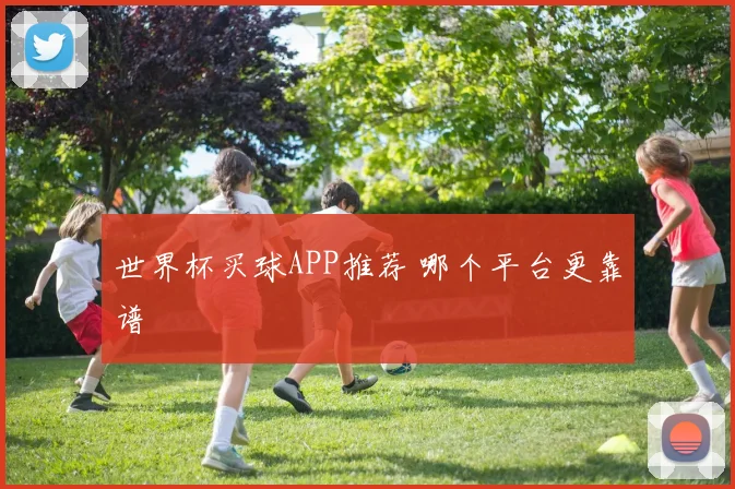 世界杯买球APP推荐 哪个平台更靠谱