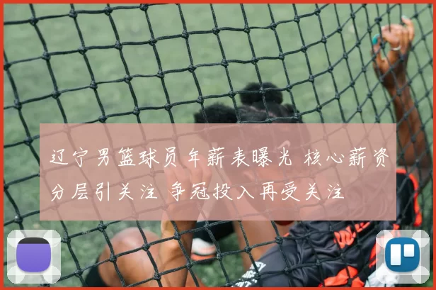 辽宁男篮球员年薪表曝光 核心薪资分层引关注 争冠投入再受关注