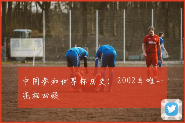 中国参加世界杯历史：2002年唯一亮相回顾