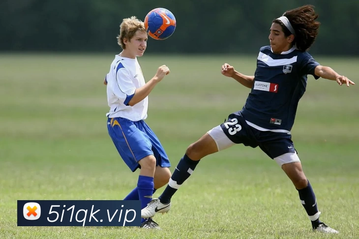 开云(中国)Kaiyun·官方网站 - 登录入口服务体系