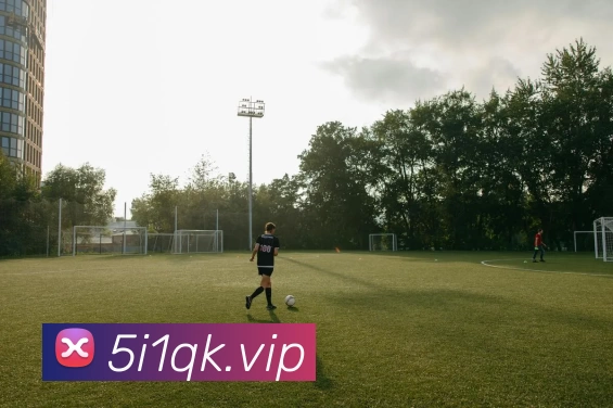 开云(中国)Kaiyun·官方网站 - 登录入口APP 高清赛事图